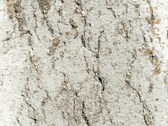 Similar image 21404464