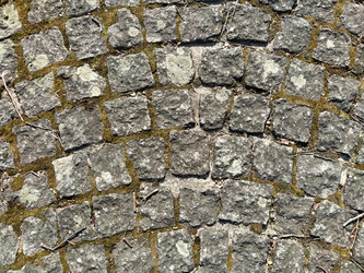 Similar image 21404466