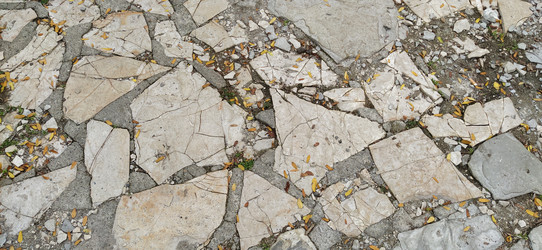 Similar image 21404467