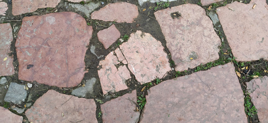 Similar image 21404471