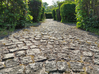 Similar image 21404474