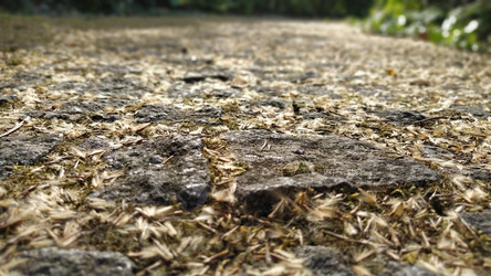 Similar image 21405426