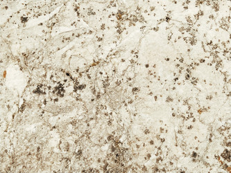 Similar image 21405429