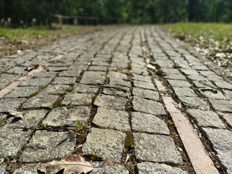 Similar image 21405432