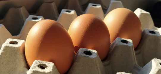 Similar image 21405438