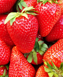 Similar image 21405439