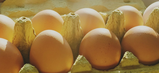 Similar image 21405442