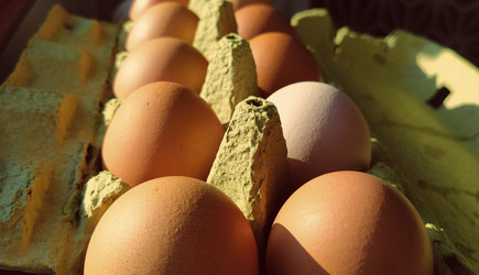 Similar image 21405444