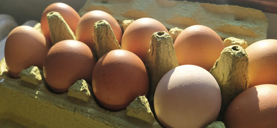 Similar image 21405445