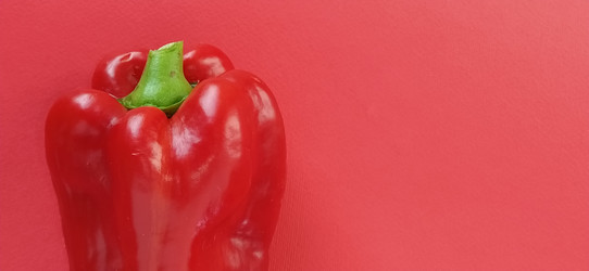 Similar image 21405448