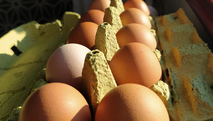 Similar image 21405451