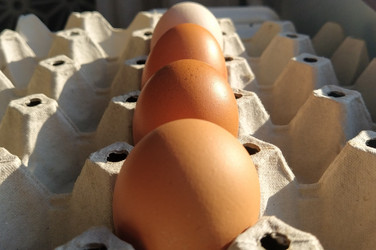 Similar image 21405452