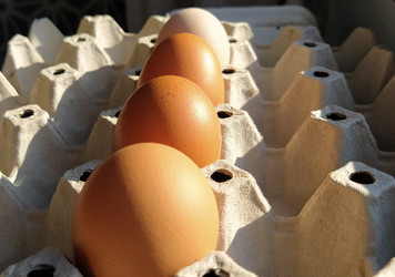 Similar image 21405720