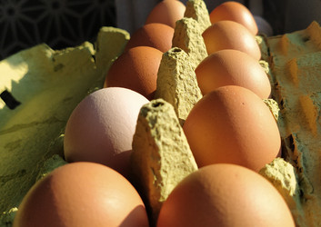 Similar image 21405721