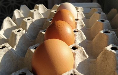 Similar image 21405722