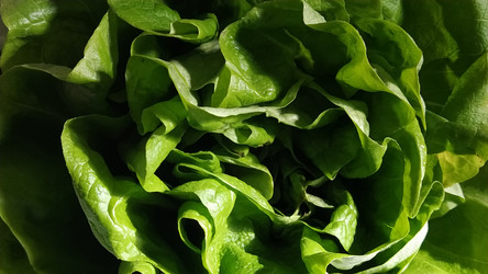 Similar image 21405725