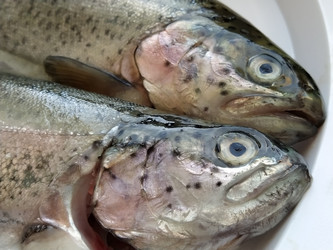 Similar image 21405804