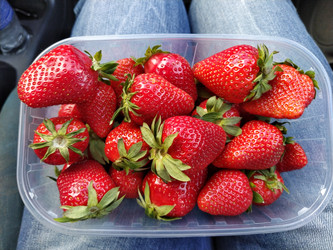 Similar image 21405805