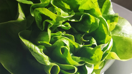 Similar image 21405891