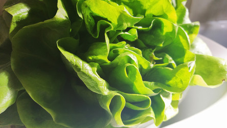 Similar image 21405895