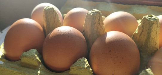 Similar image 21406114