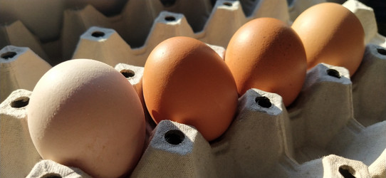 Similar image 21406120