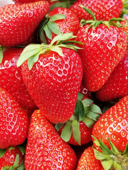 Similar image 21406121