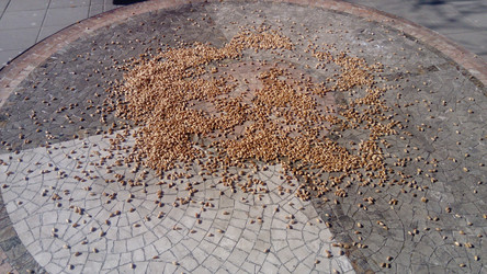 Similar image 21415683