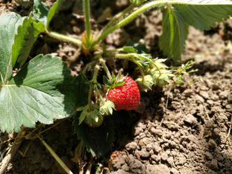 Similar image 21415687