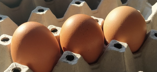 Similar image 21415940