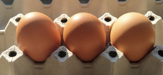 Similar image 21415942