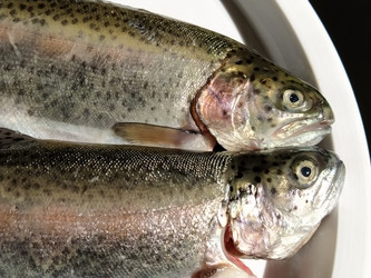 Similar image 21416310