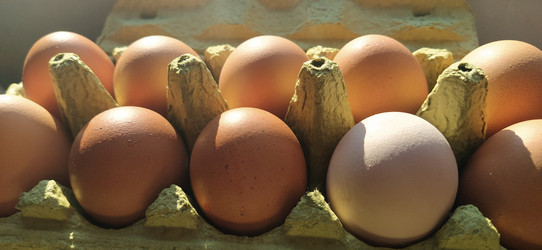 Similar image 21416832