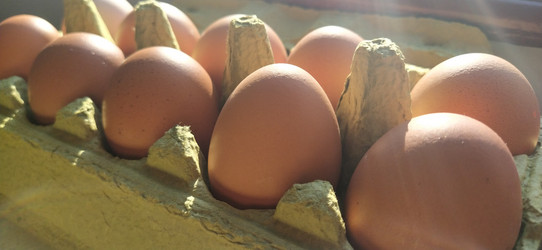 Similar image 21416834