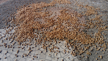 Similar image 21416836