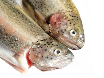 Similar image 21416837