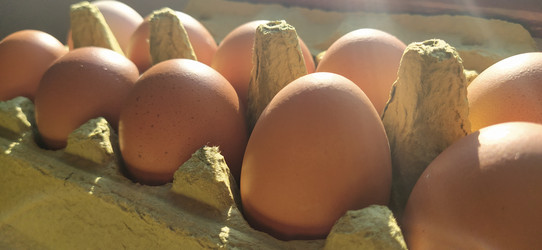 Similar image 21416843