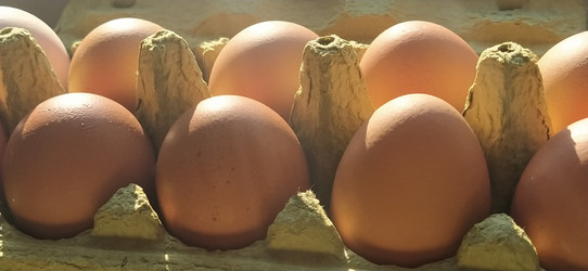 Similar image 21405453