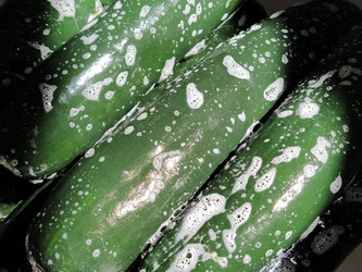 Similar image 21405455