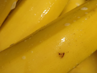 Similar image 21405459