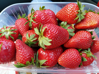 Similar image 21405810