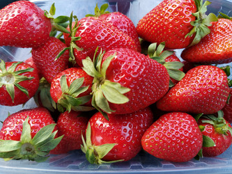 Similar image 21405811