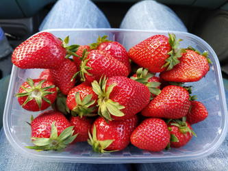 Similar image 21405897