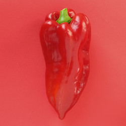 Similar image 21405900