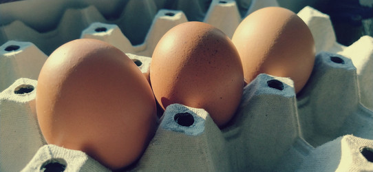 Similar image 21405997