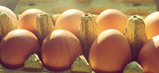 Similar image 21405998