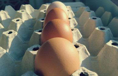 Similar image 21405999