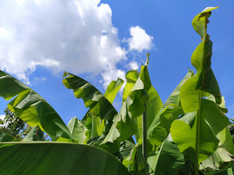 Similar image 21406123