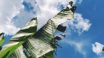 Similar image 21406124