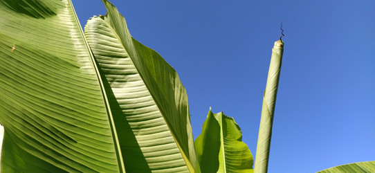 Similar image 21406127